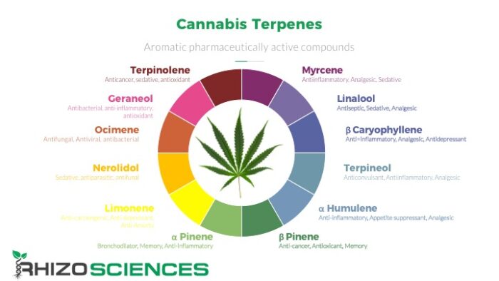 Terpenes and the Entourage Effect | Hemp CBD Extraction Sales and ...