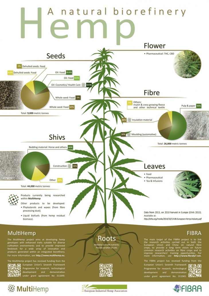 Hemp Biomass Products | Hemp CBD Extraction Sales and Services | Rhizo ...